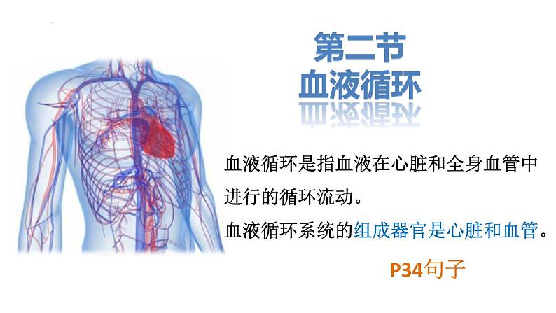 9.2+血液循环-体循环和肺循环+课件2023--2024学年北师大版生物七年级下册第1页