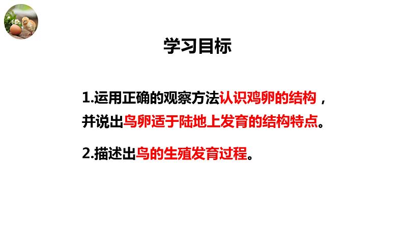 8.1.3鸟的生殖和发育课件2023--2024学年鲁科版生物八年级下册02