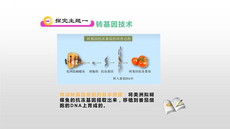 6.4现代生物技术课件2023--2024学年冀少版生物八年级下册06