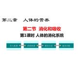 4.2.2消化和吸收+课件2023-2024学年人教版生物七年级下册