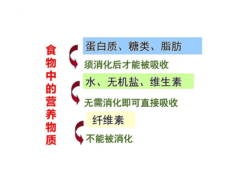 4.2.2消化和吸收+课件2023-2024学年人教版生物七年级下册第7页