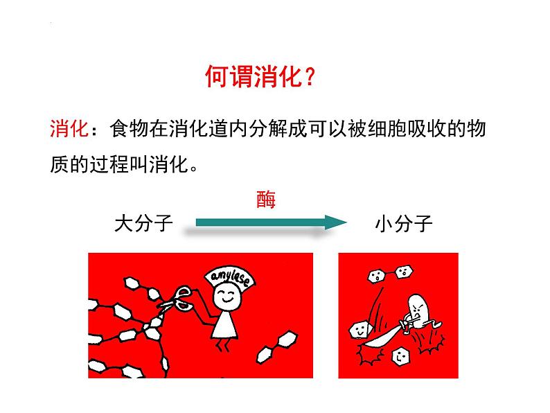 4.2.2消化和吸收+课件2023-2024学年人教版生物七年级下册第8页