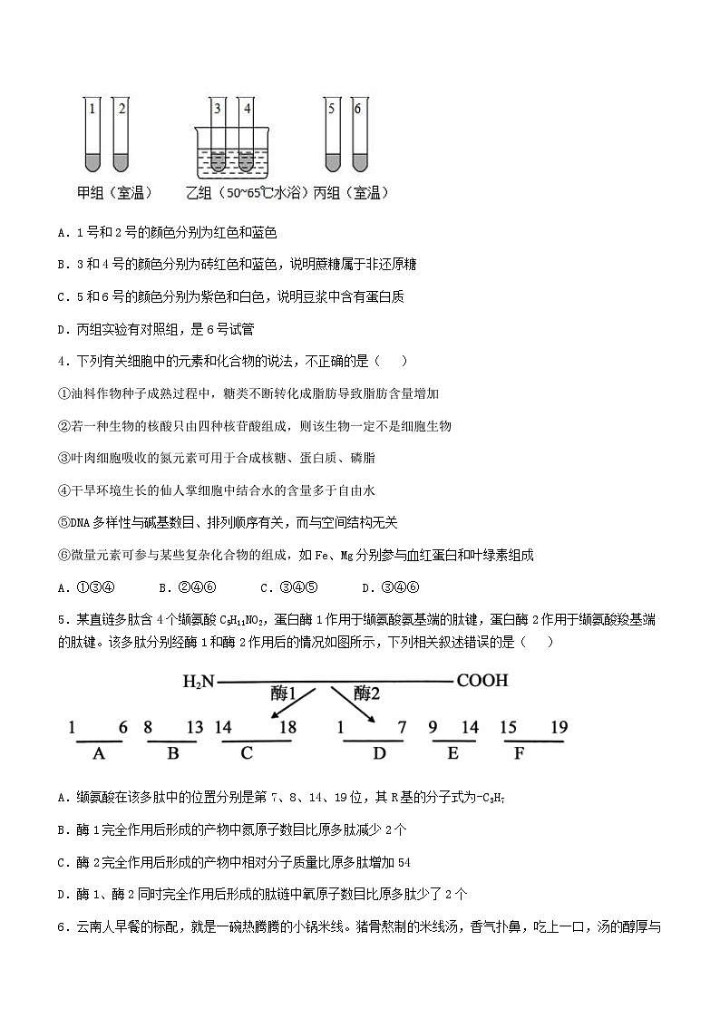 江西省宜春市丰城市第九中学日新班2023-2024学年九年级上学期期末考试生物试题()02
