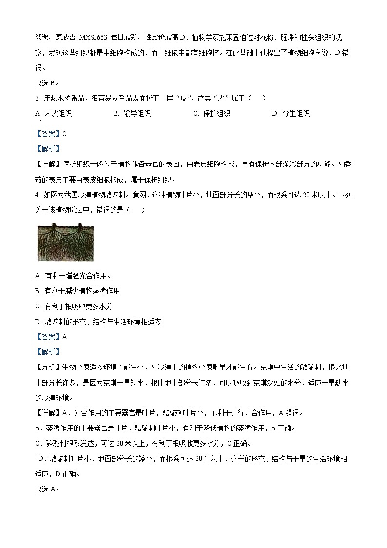 辽宁省辽阳市2023-2024学年七年级上学期期末生物试题02