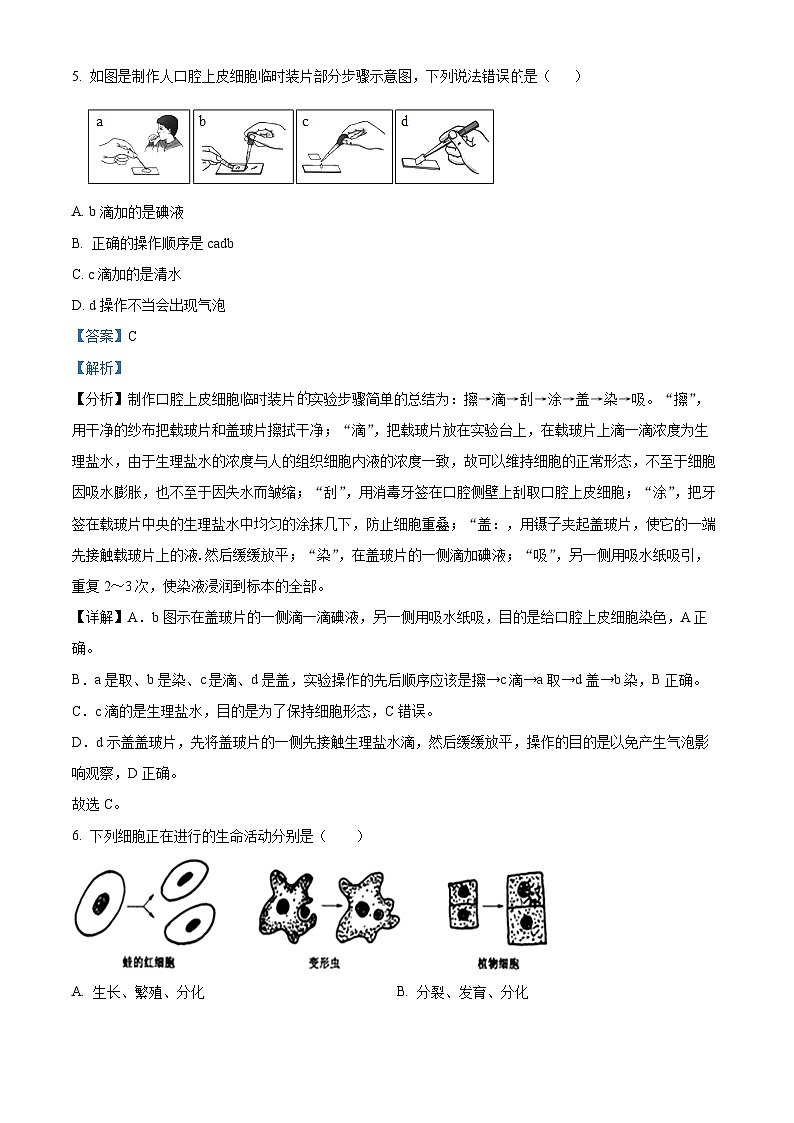 辽宁省辽阳市2023-2024学年七年级上学期期末生物试题03