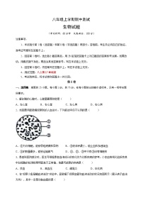 苏科版八年级上学期生物期中测试卷（含答案解析）