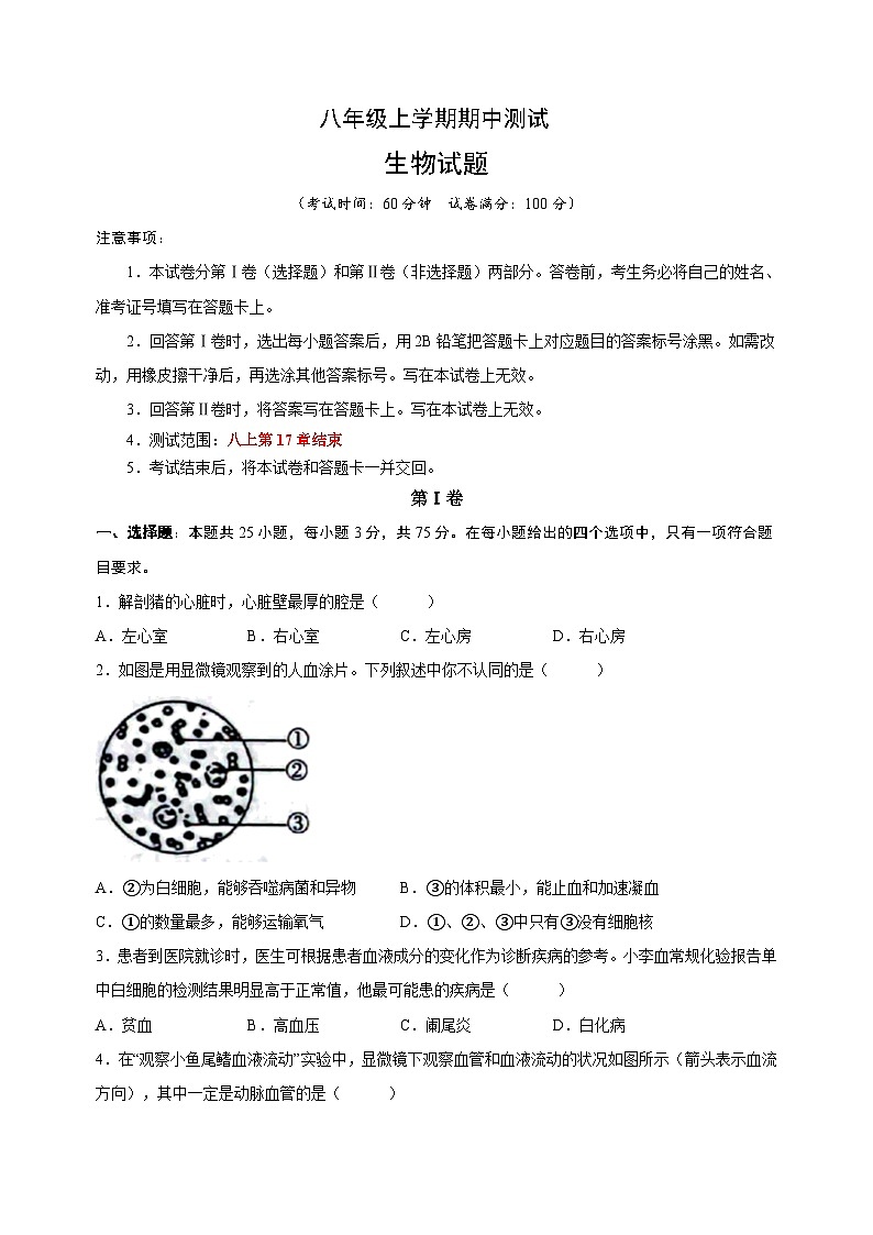 苏科版八年级上学期生物期中测试卷（含答案解析）第1页