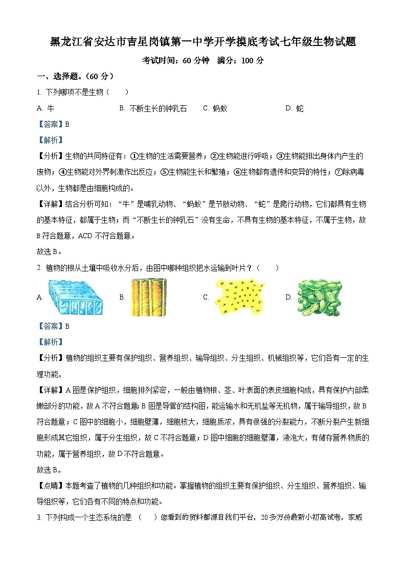 黑龙江省绥化市安达市吉星岗镇第一中学2023-2024学年七年级下学期开学考试生物试题第1页