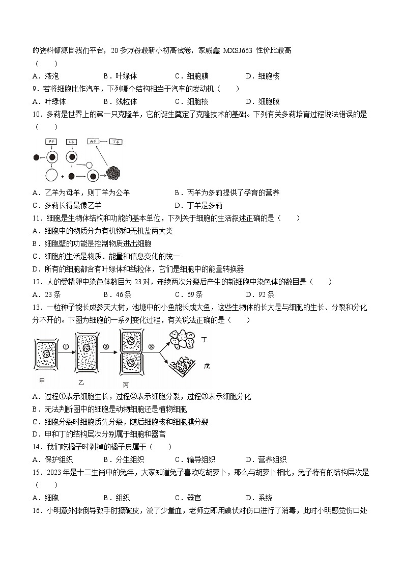 湖南省湘西州2023-2024学年七年级上学期期末考试生物试题(1)第2页