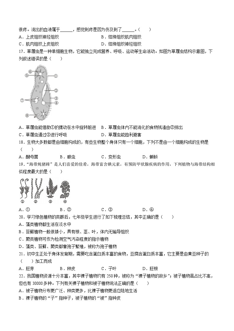 湖南省湘西州2023-2024学年七年级上学期期末考试生物试题(1)第3页