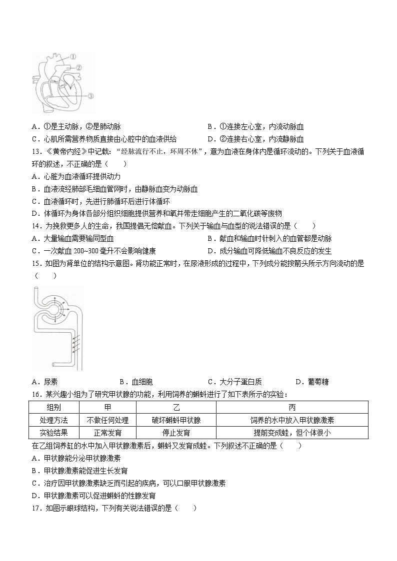 山东省临沂市兰山区2021-2022学年七年级下学期期末质量检测生物试卷03
