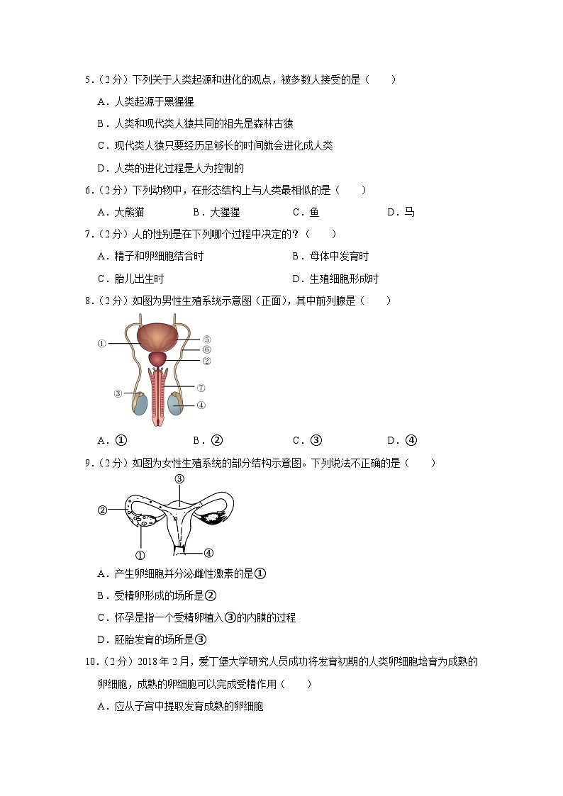 广东省梅州市丰顺县东海中学2022-2023学年七年级下学期5月月考生物试卷第2页