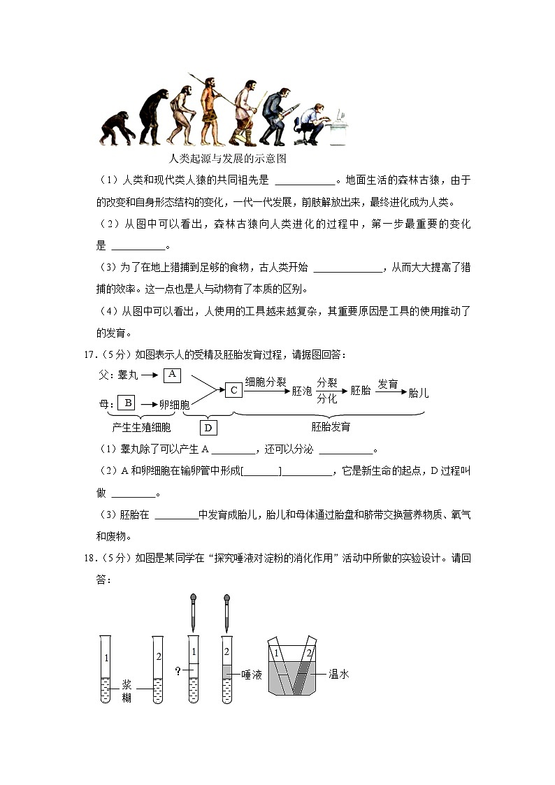 内蒙古呼和浩特市和林格尔第一中学2022-2023学年七年级下学期第一次月考生物试卷第3页