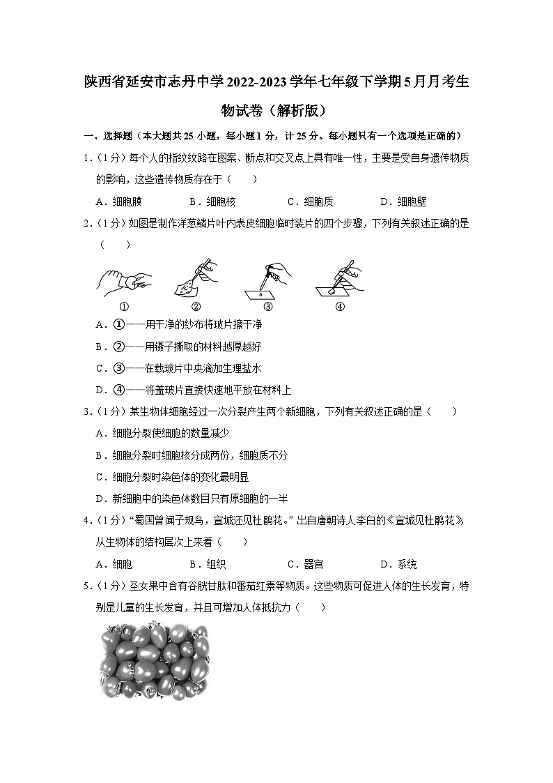 陕西省延安市志丹县中学2022-2023学年七年级下学期5月月考生物试卷01