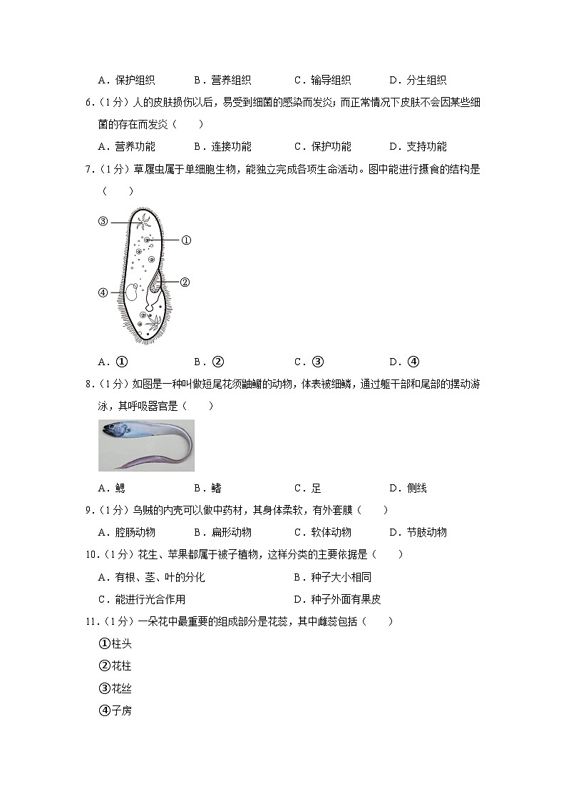 陕西省延安市志丹县中学2022-2023学年七年级下学期5月月考生物试卷02