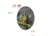 7.1.3两栖动物的生殖和发育课件2023--2024学年人教版生物八年级下册