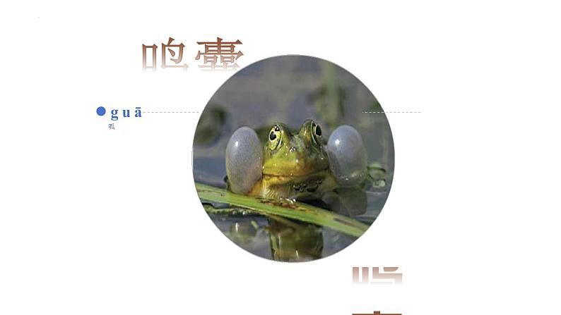 7.1.3两栖动物的生殖和发育课件2023--2024学年人教版生物八年级下册02