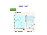 4.1.3青春期课件2023--2024学年人教版生物七年级下册 (1)