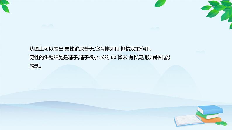 人教版生物七年级下册 第一章 第二节 人的生殖课件第6页