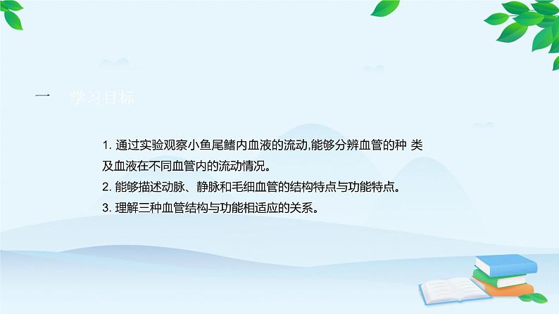 人教版生物七年级下册 第四章 第二节 血流的管道———血管课件第2页