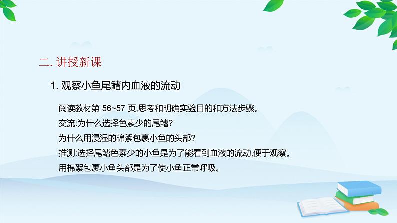 人教版生物七年级下册 第四章 第二节 血流的管道———血管课件第5页