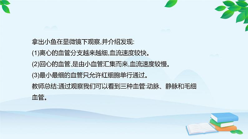 人教版生物七年级下册 第四章 第二节 血流的管道———血管课件第7页