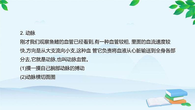 人教版生物七年级下册 第四章 第二节 血流的管道———血管课件第8页