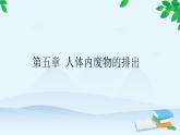 人教版生物七年级下册 第五章 人体内废物的排出课件