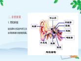 人教版生物七年级下册 第六章 第一节 人体对外界环境的感知 第二课时 听觉感知课件