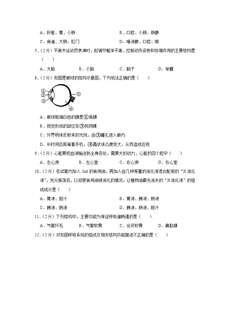 福建省龙岩市长汀县城区六校2022-2023学年七年级下学期5月联考生物试卷02