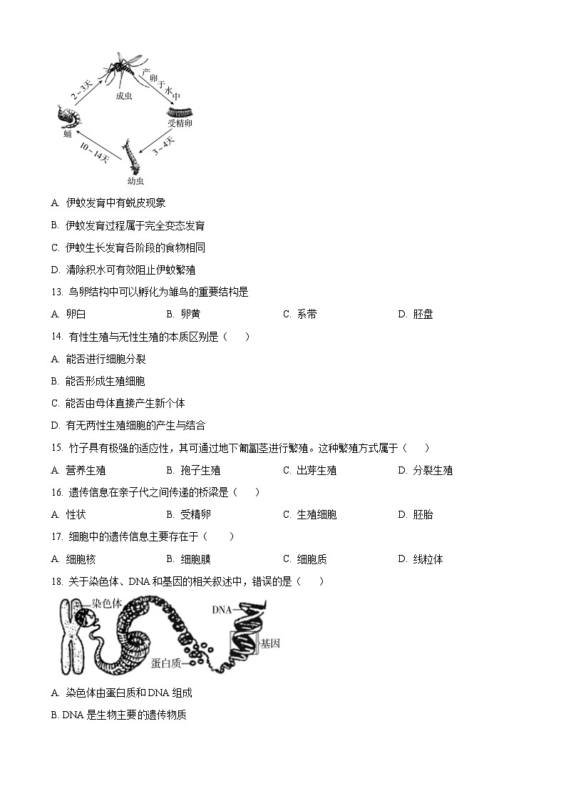 精品解析：北京市朝阳区2023-2024学年八年级上学期期末生物试题（原卷版）第3页