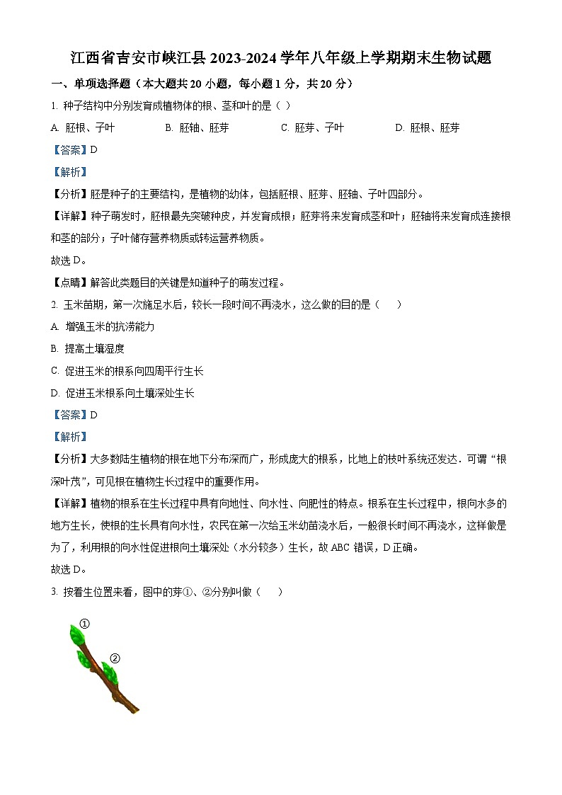 江西省吉安市峡江县2023-2024学年八年级上学期期末生物试题（原卷版+解析版）01