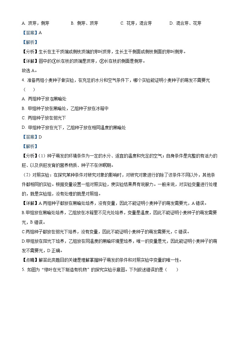 江西省吉安市峡江县2023-2024学年八年级上学期期末生物试题（原卷版+解析版）02