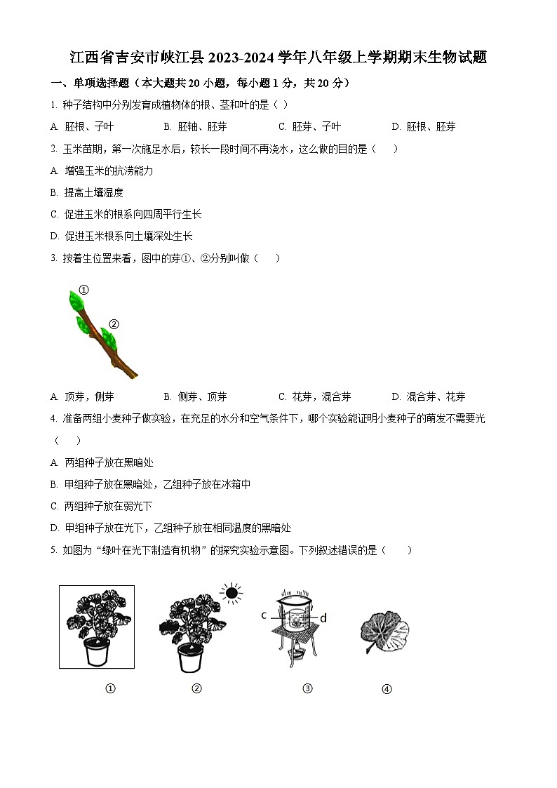 江西省吉安市峡江县2023-2024学年八年级上学期期末生物试题（原卷版+解析版）01