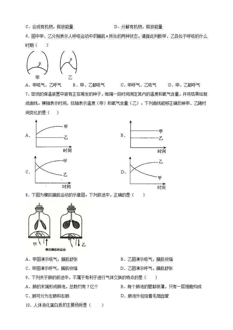 苏科版七年级上册生物第3单元《生物从环境中获取物质和能量》测试卷（含答案解析）第2页