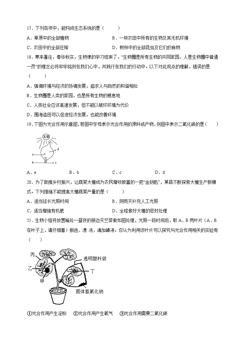 苏科版七年级上学期生物期中测试卷（含答案解析）03