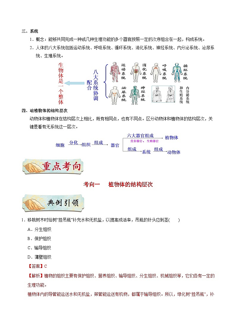 最新中考生物考点一遍过（一轮讲义） 考点08  动植物体的结构层次03