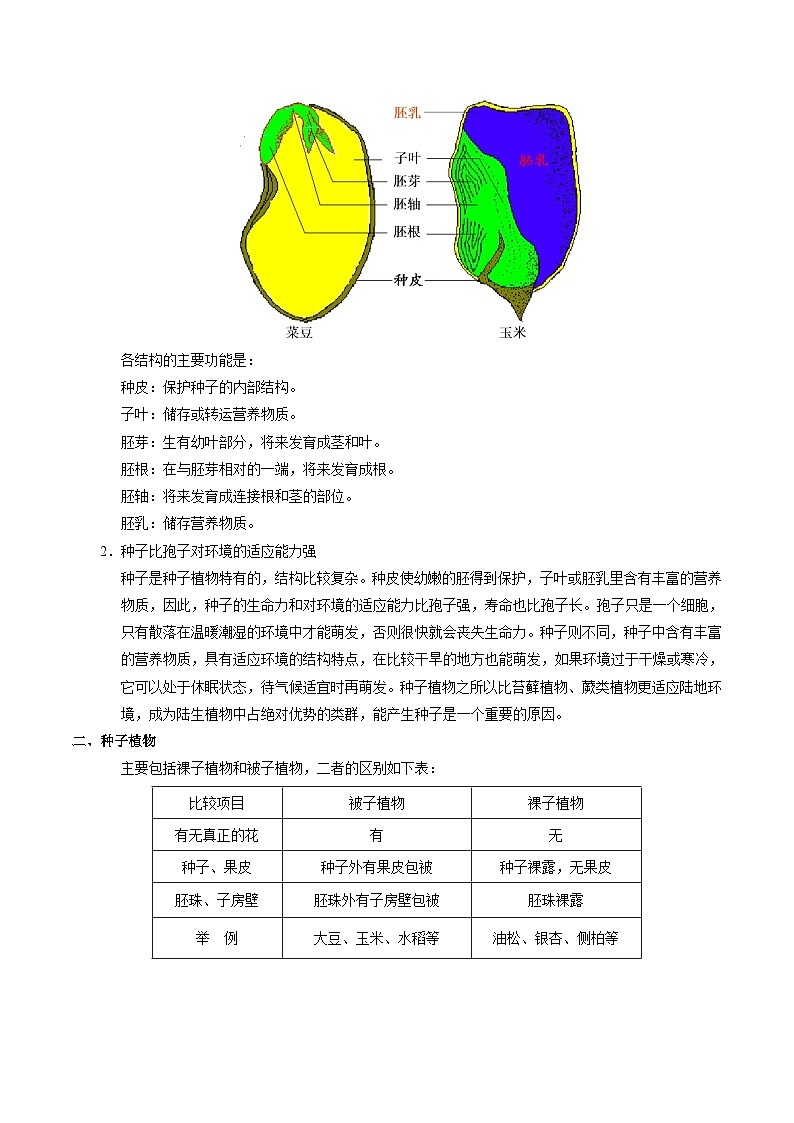 最新中考生物考点一遍过（一轮讲义） 考点11  种子植物02