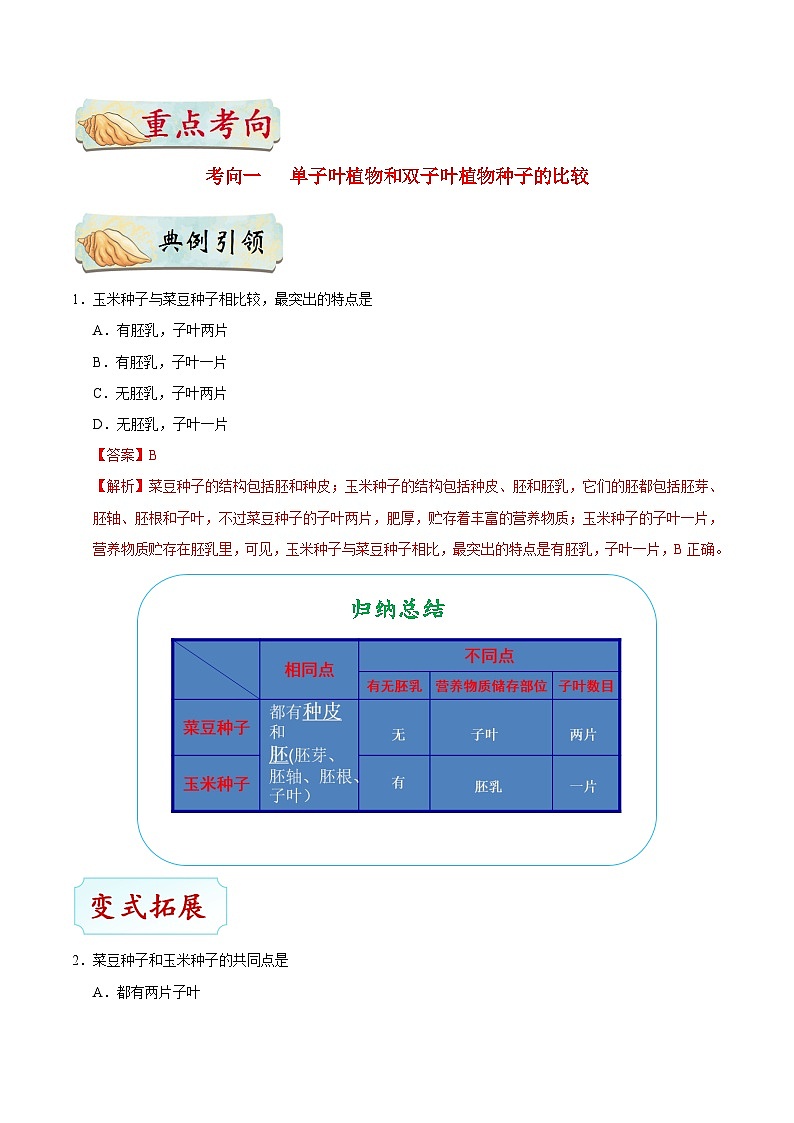最新中考生物考点一遍过（一轮讲义） 考点11  种子植物03