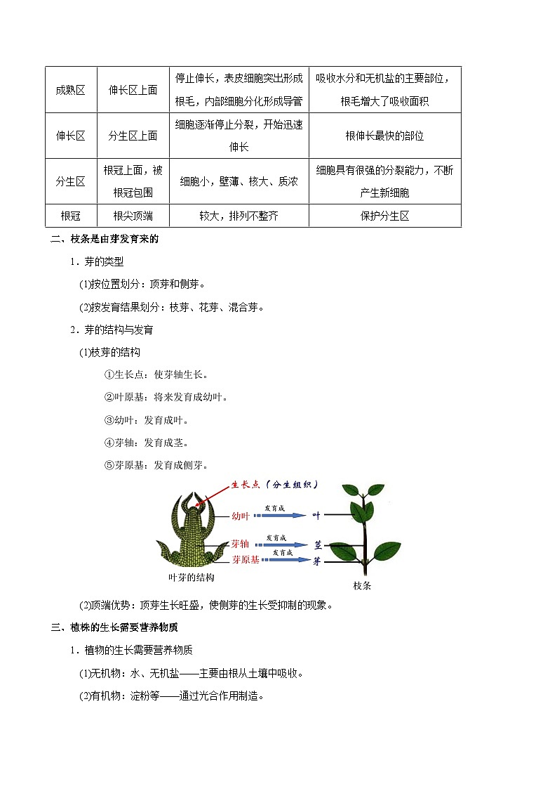 最新中考生物考点一遍过（一轮讲义） 考点13  植株的生长第2页