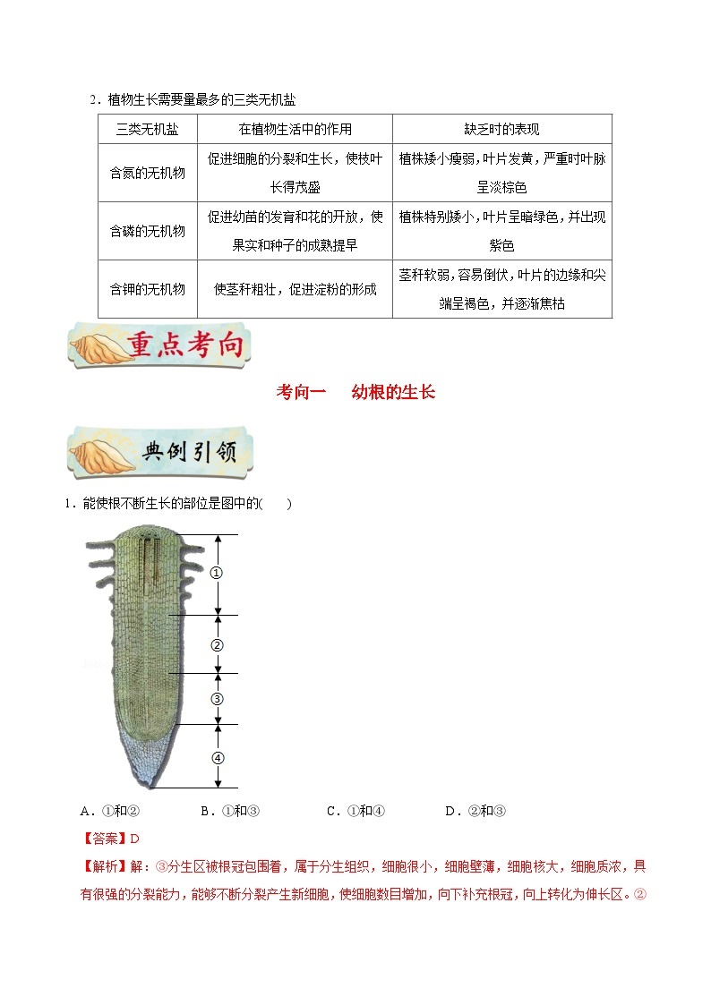 最新中考生物考点一遍过（一轮讲义） 考点13  植株的生长03