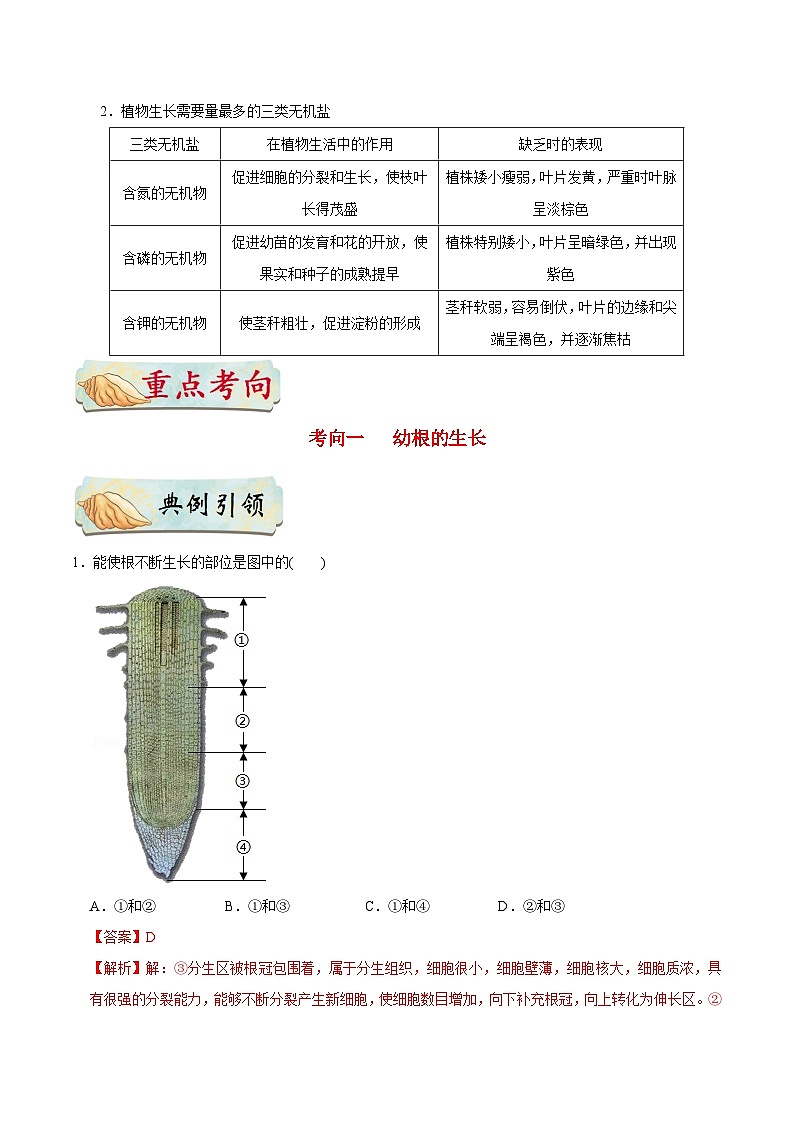 最新中考生物考点一遍过（一轮讲义） 考点13  植株的生长第3页