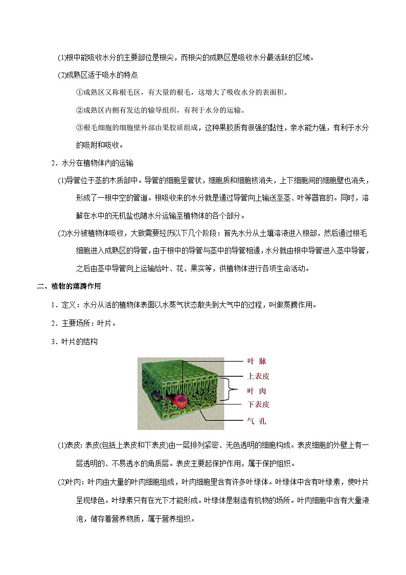 最新中考生物考点一遍过（一轮讲义） 考点15  植物的蒸腾作用第2页