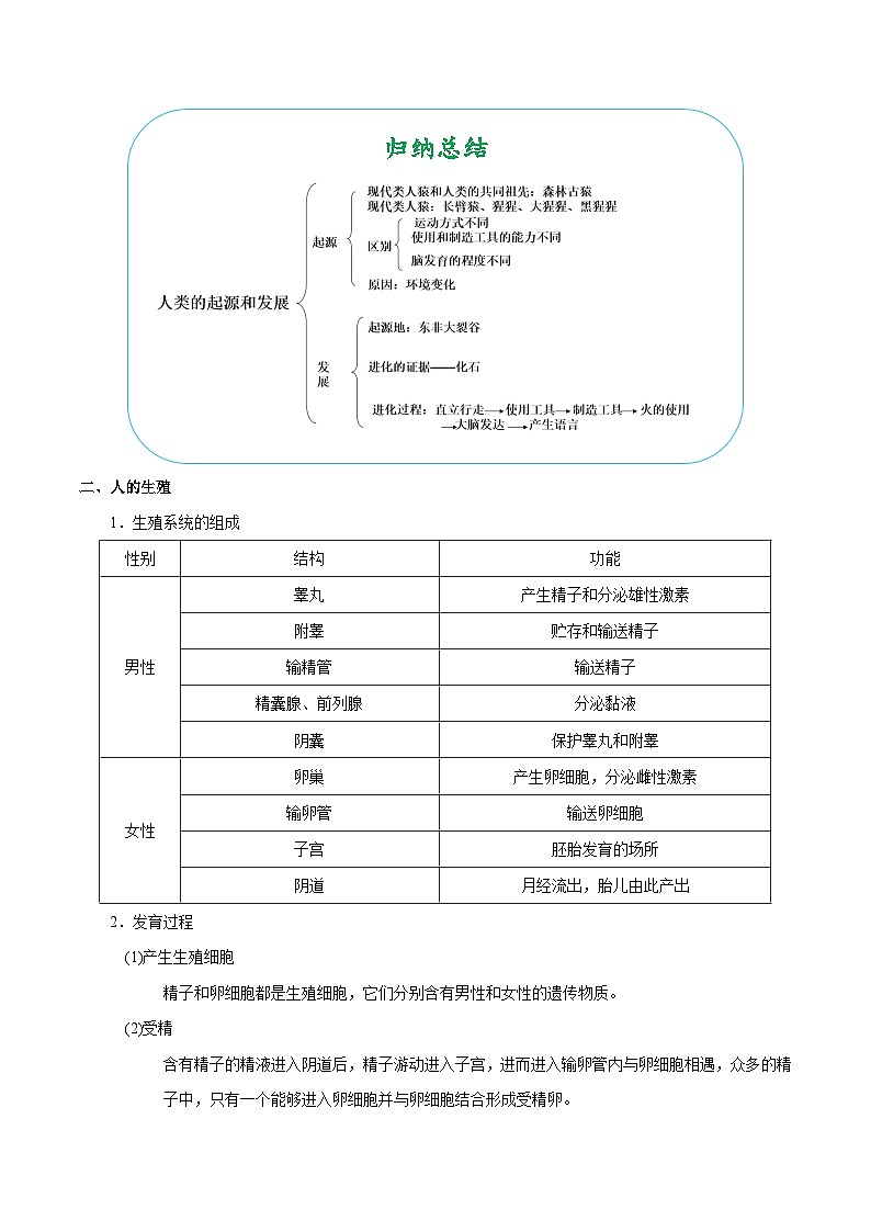 最新中考生物考点一遍过（一轮讲义） 考点18  人的由来第3页