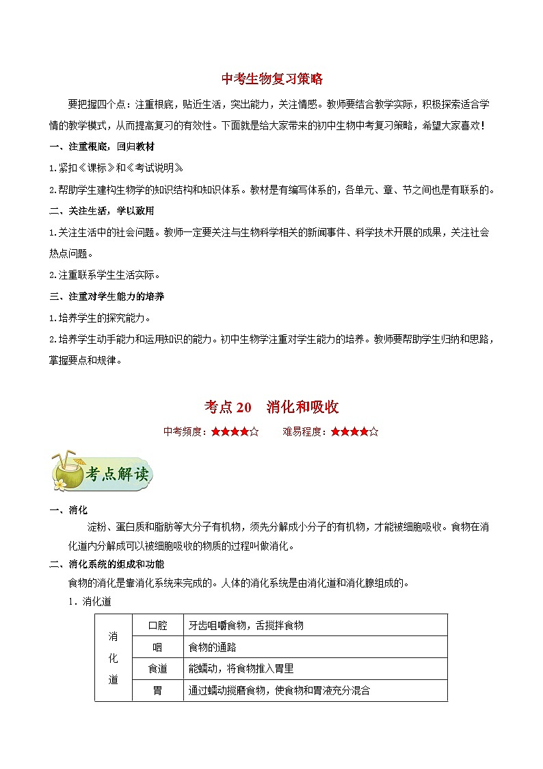 最新中考生物考点一遍过（一轮讲义） 考点20  消化和吸收第1页