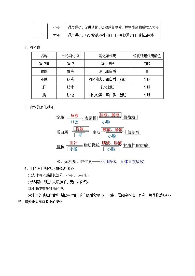 最新中考生物考点一遍过（一轮讲义） 考点20  消化和吸收第2页