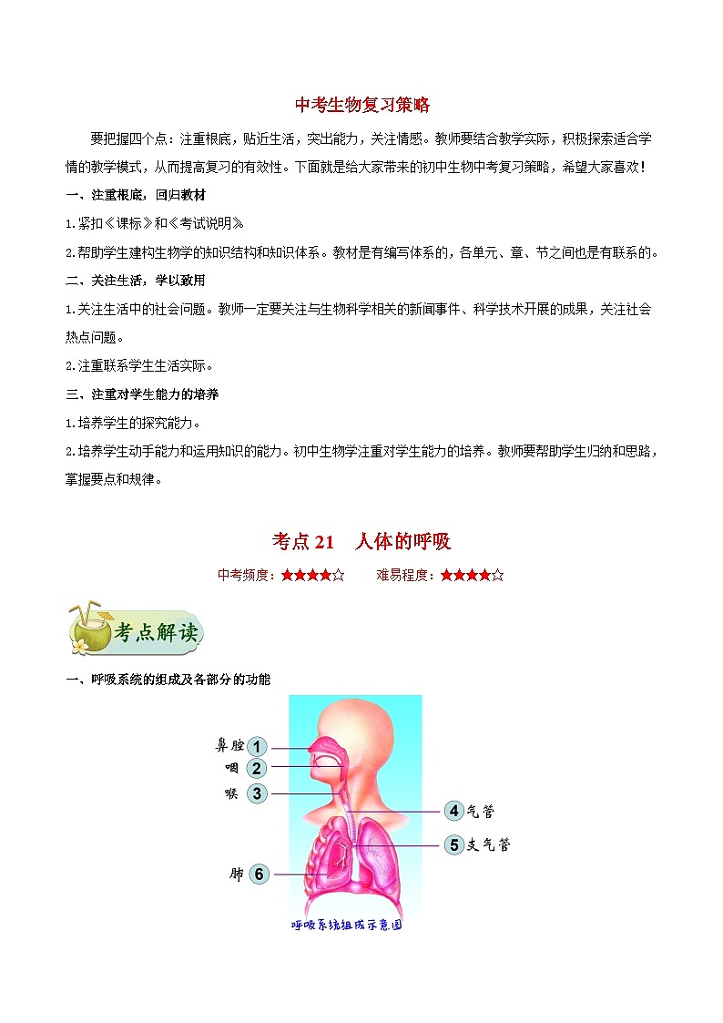 最新中考生物考点一遍过（一轮讲义） 考点21  人体的呼吸01