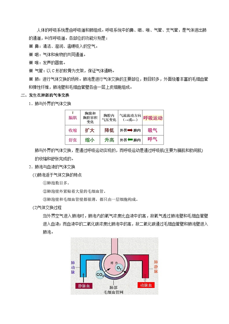 最新中考生物考点一遍过（一轮讲义） 考点21  人体的呼吸02
