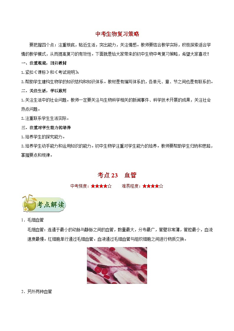 最新中考生物考点一遍过（一轮讲义） 考点23  血管01