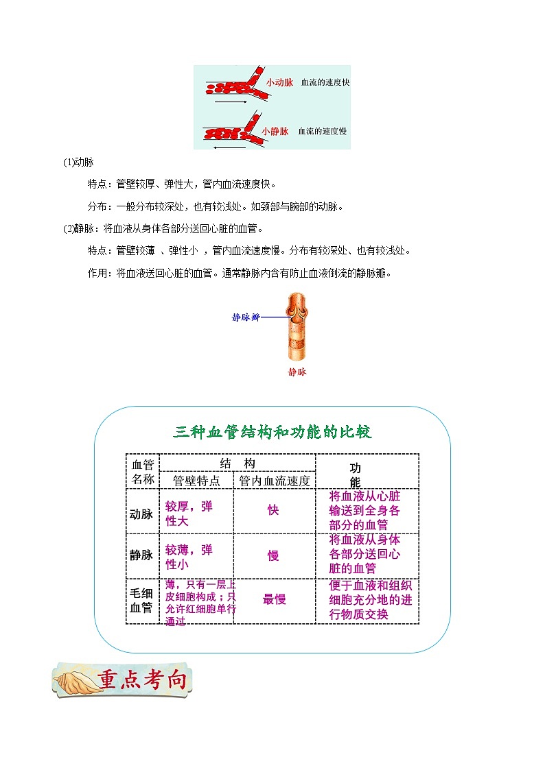 最新中考生物考点一遍过（一轮讲义） 考点23  血管02